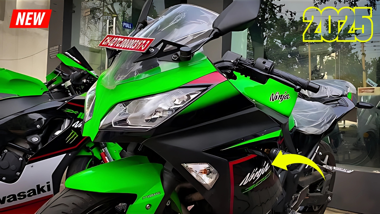Kawasaki Ninja 300